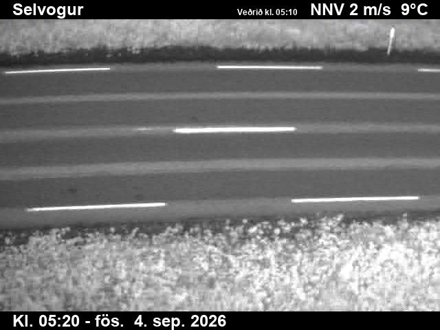 selvogur_2-1788506750.jpg