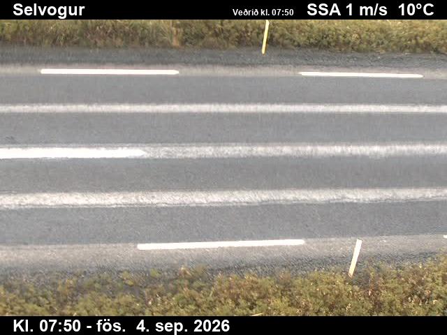 selvogur_2-1788516099.jpg