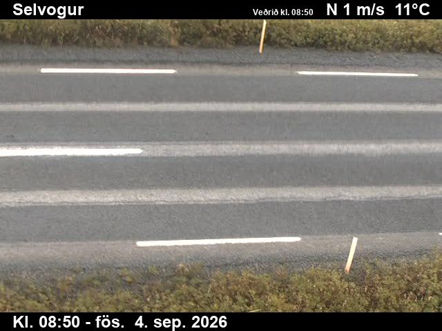 selvogur_2-1788519750.jpg
