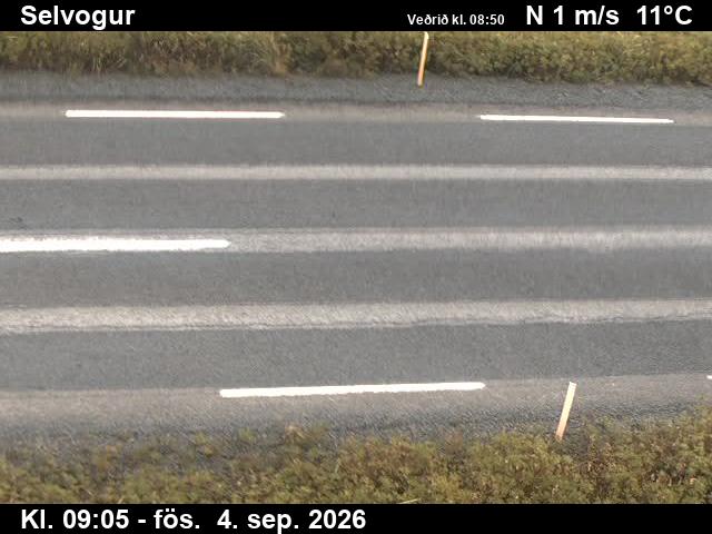 selvogur_2-1788520043.jpg