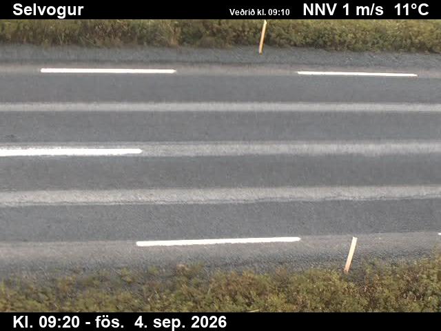 selvogur_2-1788521168.jpg