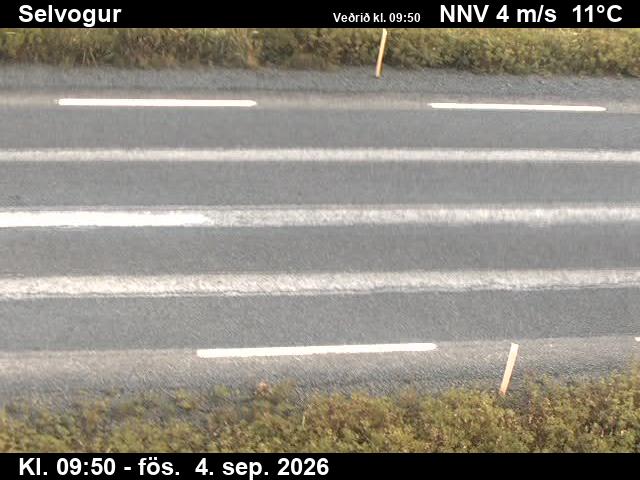 selvogur_2-1788523344.jpg