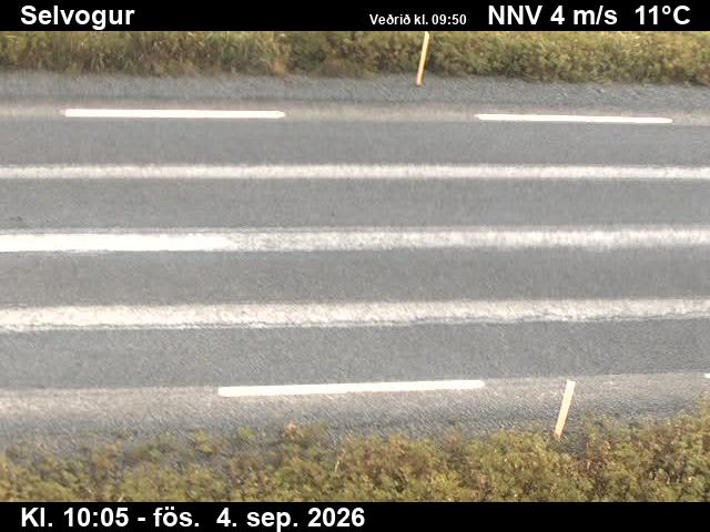 selvogur_2-1788523615.jpg