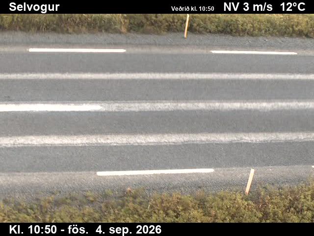 selvogur_2-1788526881.jpg