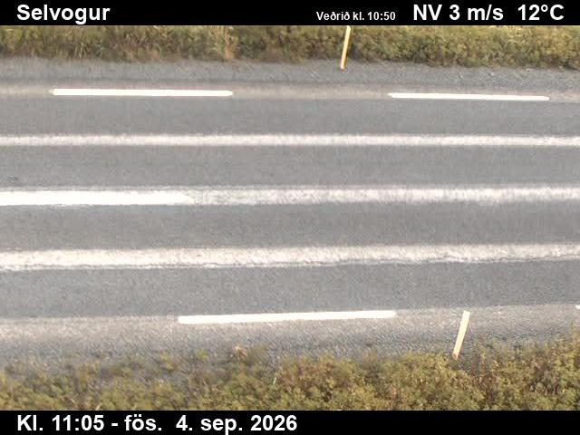 selvogur_2-1788527177.jpg