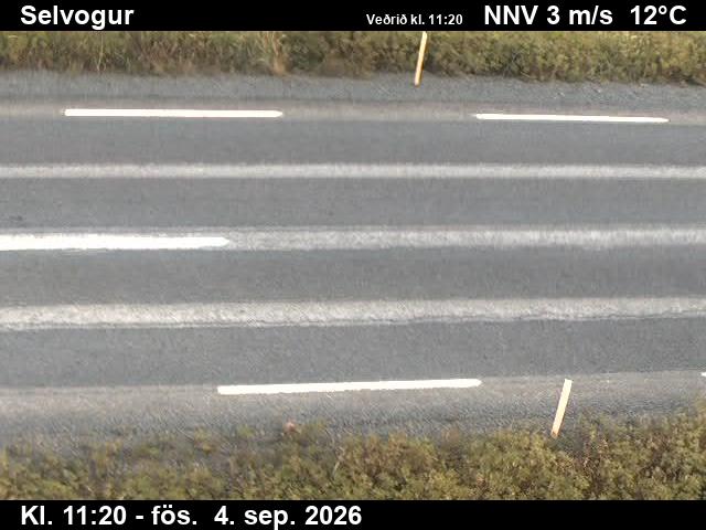 selvogur_2-1788528383.jpg