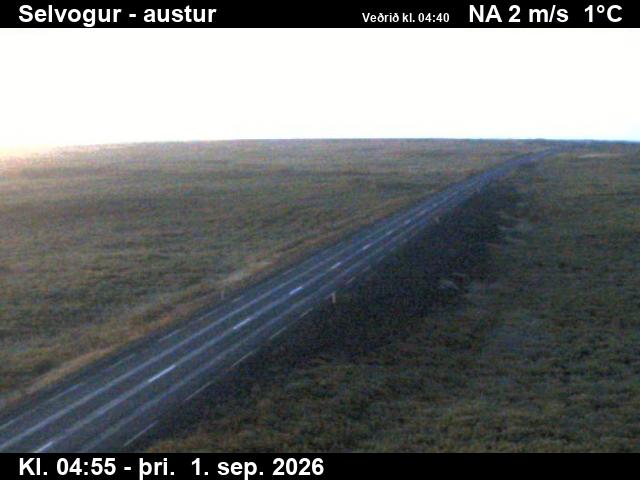 selvogur_3-1788246082.jpg