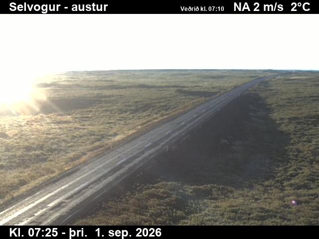 selvogur_3-1788254794.jpg