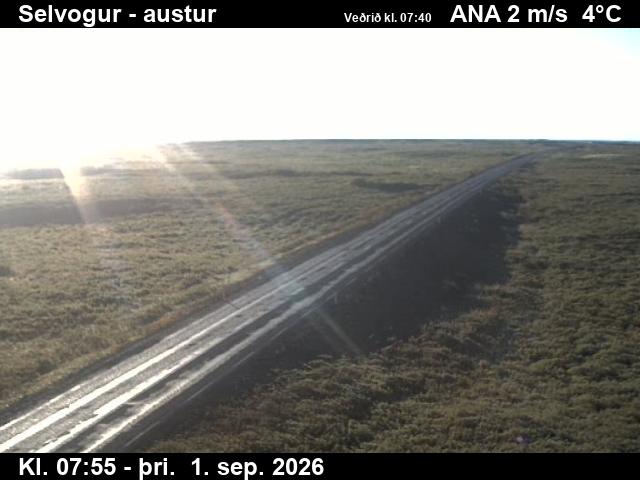 selvogur_3-1788256858.jpg