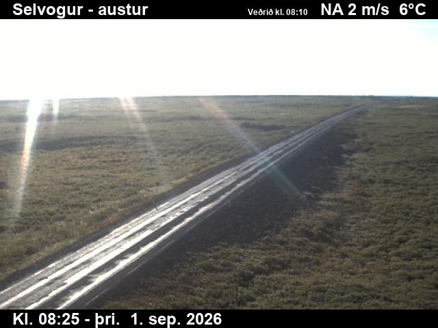selvogur_3-1788258500.jpg