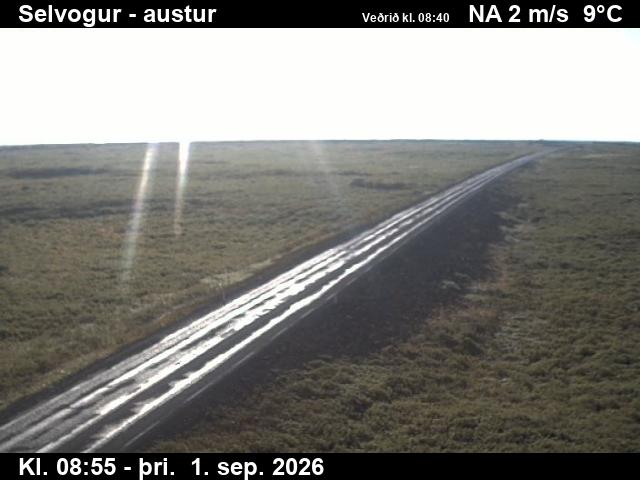 selvogur_3-1788260598.jpg