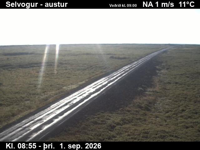 selvogur_3-1788260798.jpg
