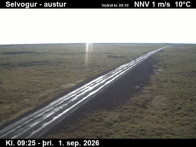 selvogur_3-1788261938.jpg