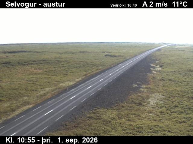 selvogur_3-1788267731.jpg