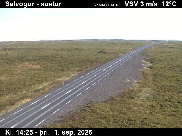 selvogur_3-1788279960.jpg