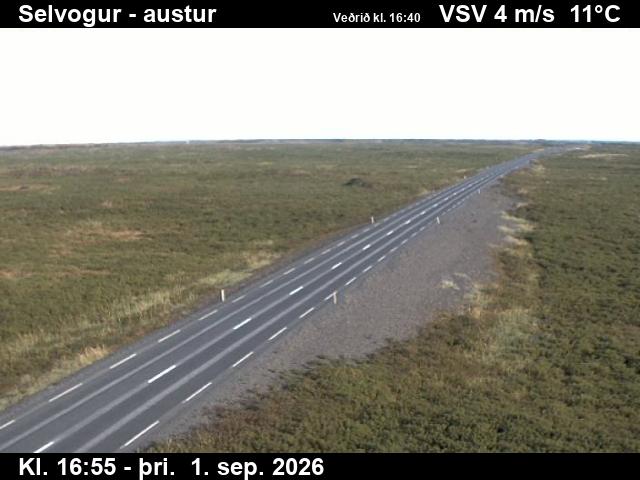 selvogur_3-1788289299.jpg