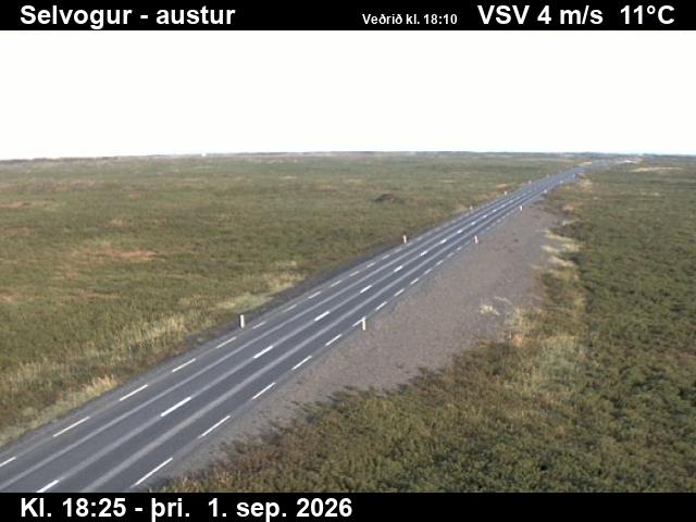 selvogur_3-1788294357.jpg