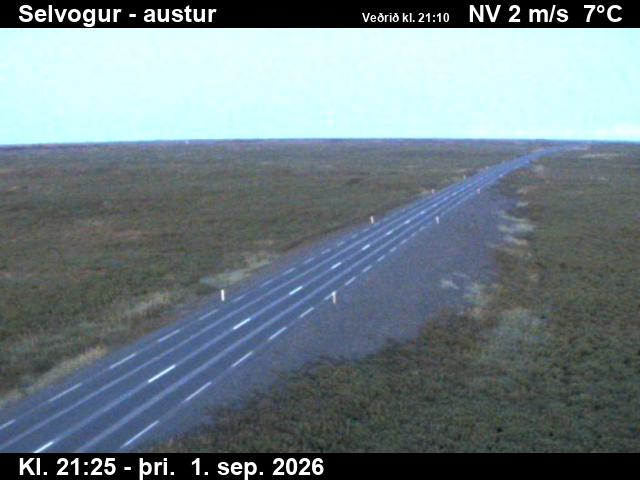selvogur_3-1788305135.jpg