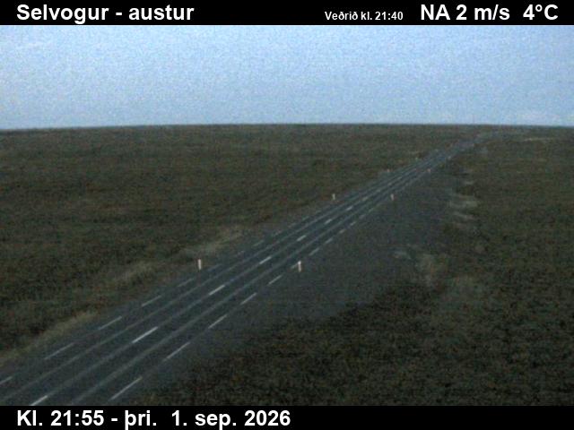 selvogur_3-1788307371.jpg