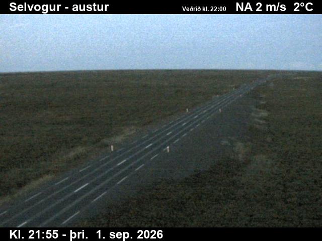 selvogur_3-1788307614.jpg
