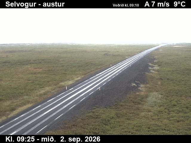 selvogur_3-1788348342.jpg