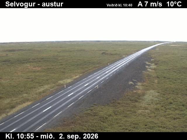 selvogur_3-1788354093.jpg