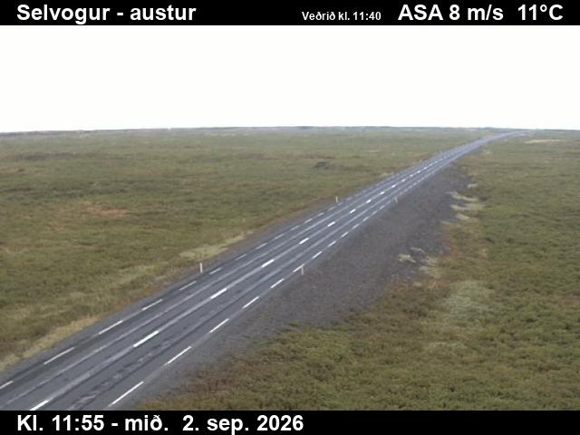 selvogur_3-1788357672.jpg