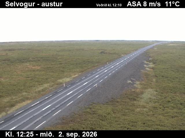 selvogur_3-1788359141.jpg