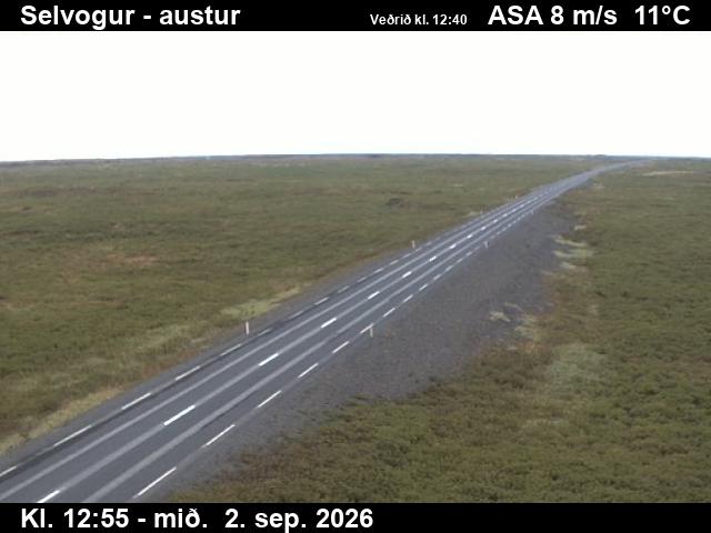 selvogur_3-1788361270.jpg