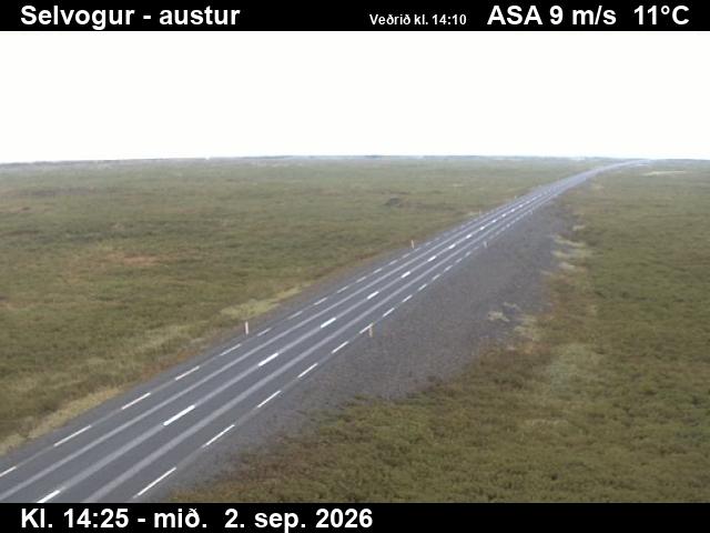 selvogur_3-1788366352.jpg