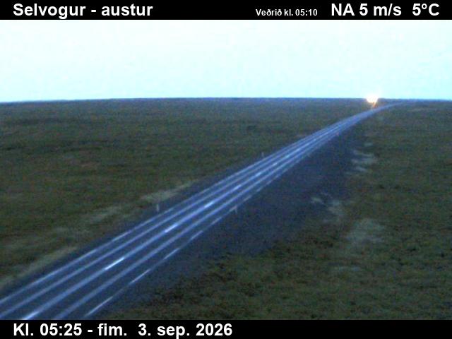 selvogur_3-1788420345.jpg