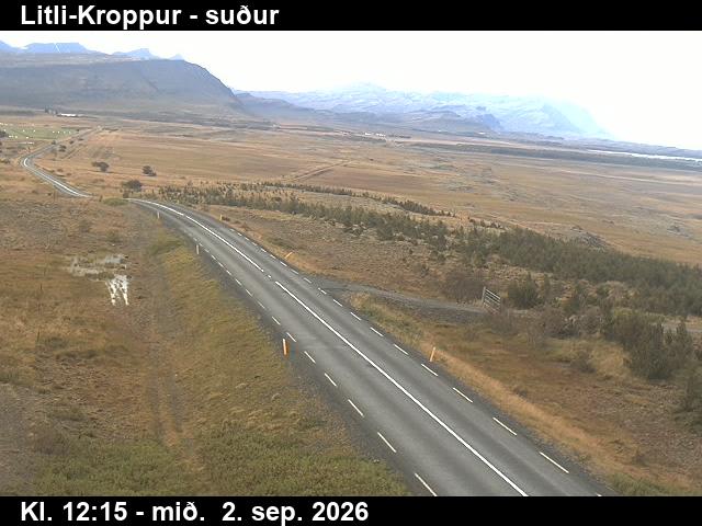 litli_kroppur_1-1788359141.jpg