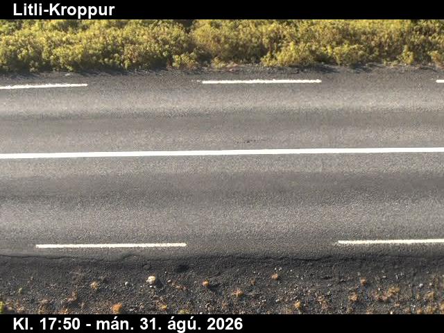 litli_kroppur_2-1788206517.jpg