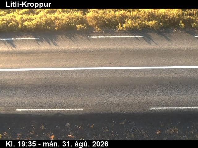 litli_kroppur_2-1788212288.jpg