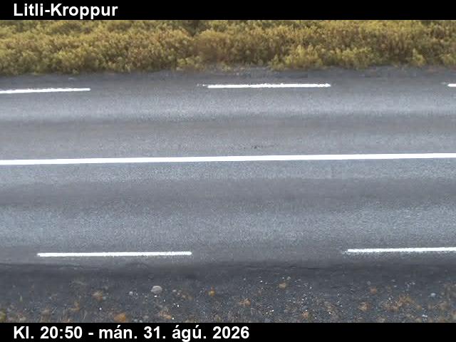 litli_kroppur_2-1788217293.jpg