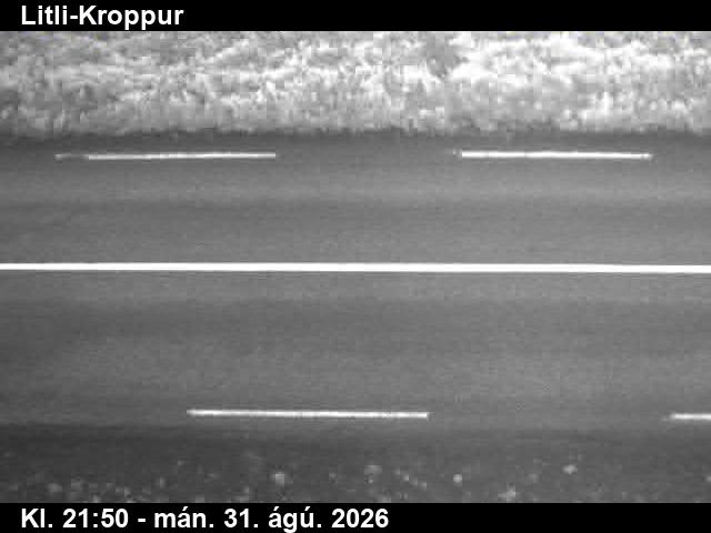 litli_kroppur_2-1788220937.jpg
