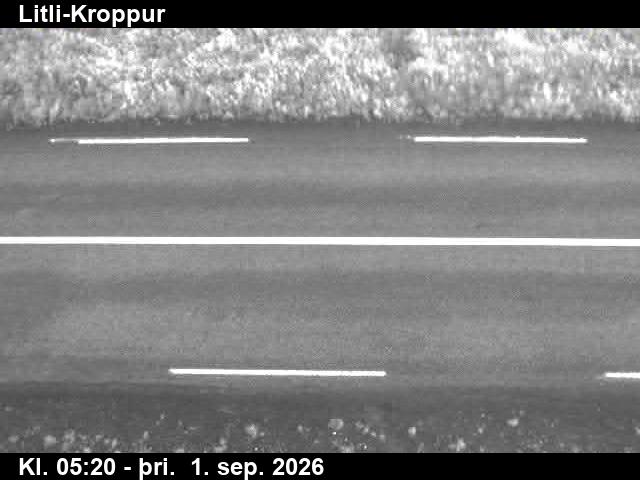litli_kroppur_2-1788247542.jpg