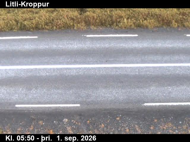 litli_kroppur_2-1788249682.jpg