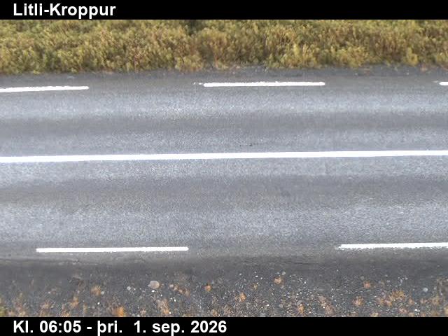 litli_kroppur_2-1788249974.jpg