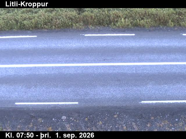 litli_kroppur_2-1788256856.jpg