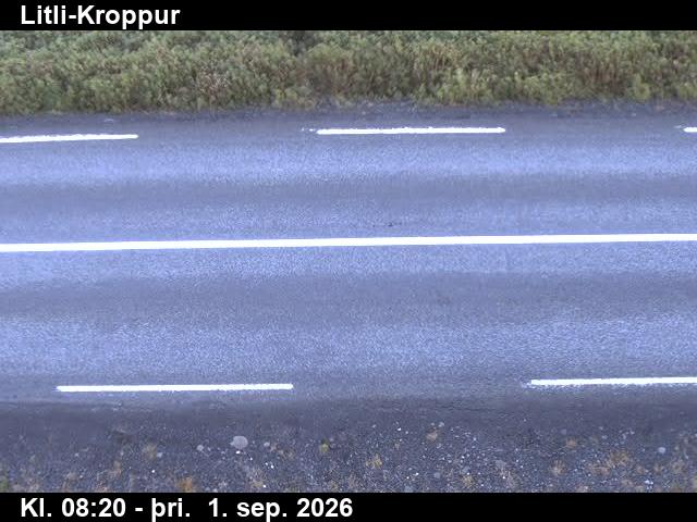 litli_kroppur_2-1788258497.jpg