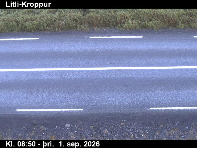litli_kroppur_2-1788260595.jpg