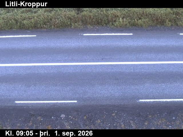 litli_kroppur_2-1788260797.jpg