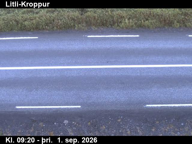 litli_kroppur_2-1788261960.jpg