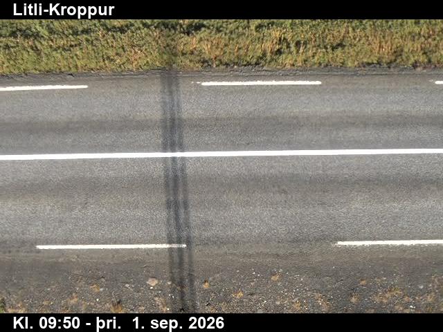 litli_kroppur_2-1788264147.jpg