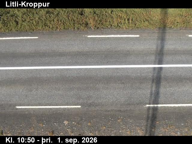 litli_kroppur_2-1788267727.jpg