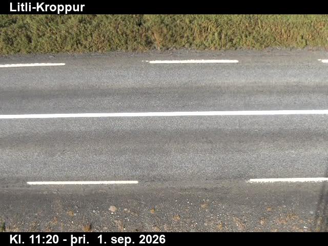 litli_kroppur_2-1788269151.jpg