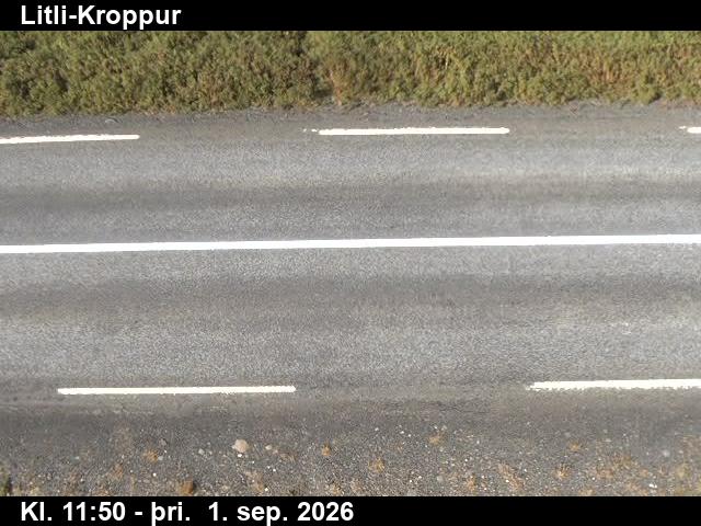 litli_kroppur_2-1788271232.jpg