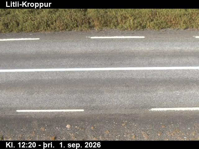 litli_kroppur_2-1788272750.jpg