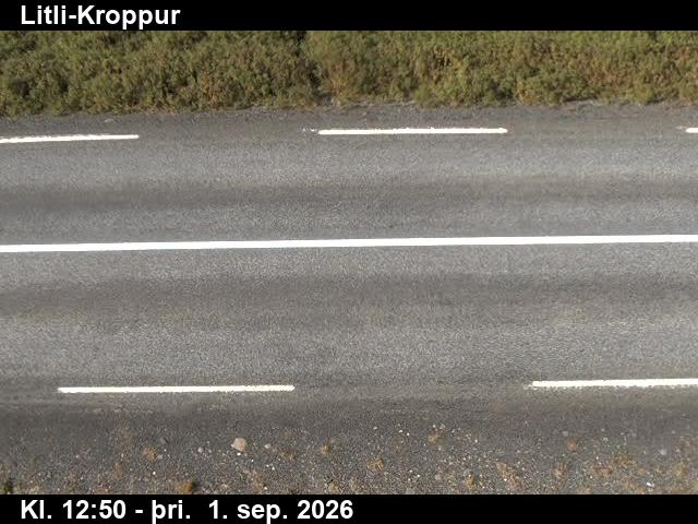 litli_kroppur_2-1788274847.jpg